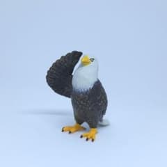 敬礼 -鳥-　白頭ワシのサムネイル