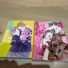 幼なじみの溺愛が危険すぎる。　もう一度俺を好きになってよ。のサムネイル