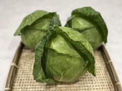 長野県で育てた新鮮で美味しい 信州868 キャベツ5玉のサムネイル