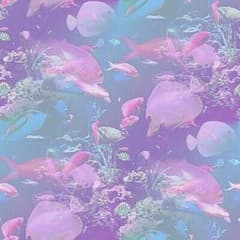 れあちーずさん専用のサムネイル