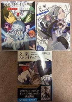 文豪ストレイドッグス 小説3冊セットのサムネイル