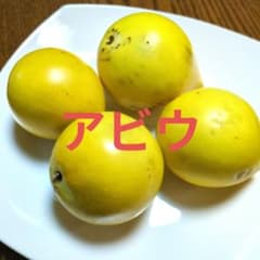 アビウ③　4コ　500gのサムネイル