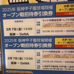 2025年オープン戦 3月7日阪神 vs DeNA チケット2枚ペアのサムネイル