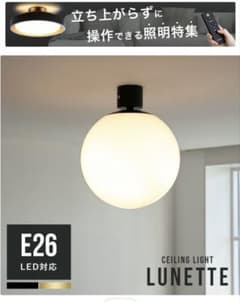 CEILING LIGHT LUNETTE L シーリングライトのサムネイル