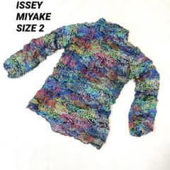 極美品✨ISSEY MIYAKE プリーツ レインボー 変形 長袖 トップス - メルカリ