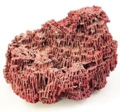稀少 天然 赤珊瑚 原石 結晶 鉱物標本 パイプオルガン珊瑚 アクアリウム 稀少 天然 赤珊瑚 原石 結晶 鉱物標本 パイプオルガン珊瑚