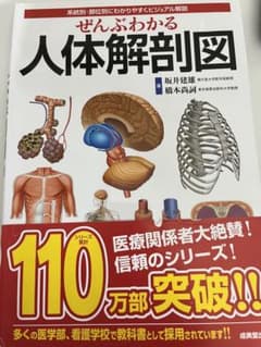ぜんぶわかる人体解剖図 系統別・部位別にわかりやすくビジュアル解説のサムネイル