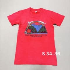 KAUAI Hawaii Tシャツ USA製 S(34-36)のサムネイル
