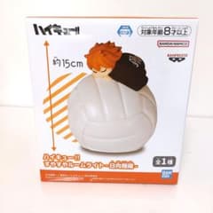 m77643083044_1.jpg?1760338440