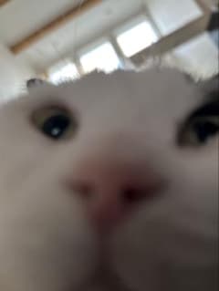 ビーにーのサムネイル