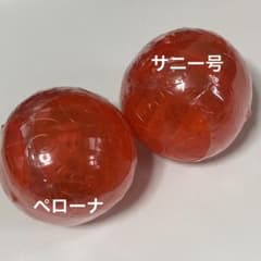 ワンピの実　第八海戦　ペローナ/メリー号のサムネイル
