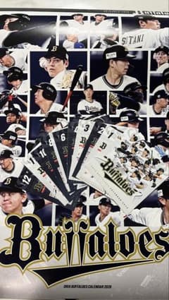 オリックス・バファローズ カレンダー 2026のサムネイル