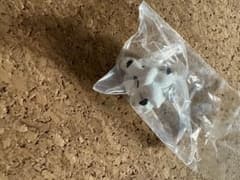 プロ野球マスコット　めじるしアクセサリー　レオのサムネイル