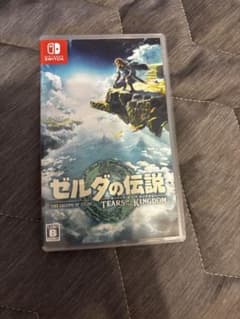 Switch 젤다의 전설 티어스 오브 더 킹덤