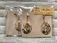 パームルート　アゲート　ピアスのサムネイル