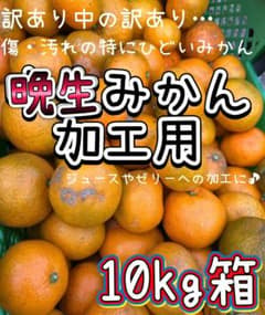 現品限り!訳あり!減農薬 晩生みかん加工専用!【10kg箱】のサムネイル
