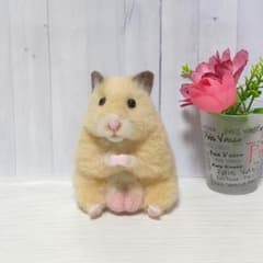 どっしりお座りキンクマハムスター◇羊毛フェルト どっしりお座りキンクマハムスター◇羊毛フェルト - メルカリ