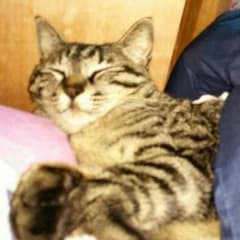 Taみほさまのサムネイル