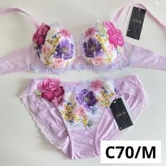 サルート ニューヨーク C70/M PU 93 P-upブラ ノーマルショーツ - メルカリ