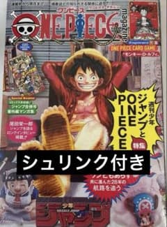 新品未開封品 ワンピースマガジン 20 シュリンク付き プロモ付き ③