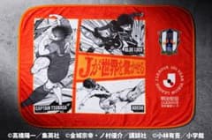 愛媛FC Jリーグ百年構想リーグ開幕記念特製ブランケット1枚　3枚ありますのサムネイル