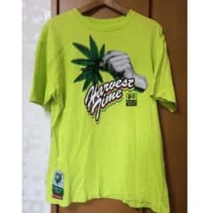 Tシャツのサムネイル