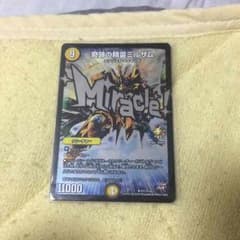 奇跡の精霊ミルザムのサムネイル