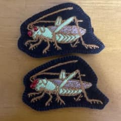 ヴィンテージ バッタ 昆虫 刺繍ワッペン ビーズ 2枚セット レトロのサムネイル