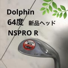돌고래 64도