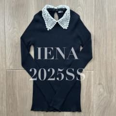 IENA レース襟ホールガーメント リブプルオーバー ネイビー 長袖ニット