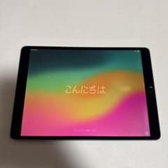 Apple iPad Pro 10.5インチ 256GBスペースグレー - メルカリ