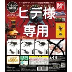 生き物大図鑑　クワガタ02 3種セットのサムネイル