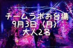 チームラボボーダーレス お台場 チケットのサムネイル