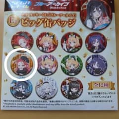 ブルーアーカイブ セガラッキーくじ E賞 花岡ユズ ビッグ缶バッジ