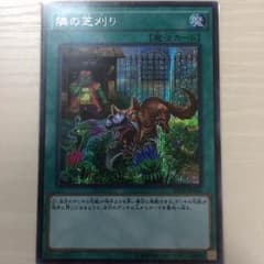 隣の芝刈り シクのサムネイル