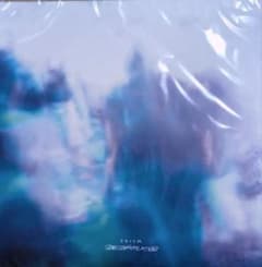 新品未使用!踊ってばかりの国 prism アナログ!入手困難! - メルカリ