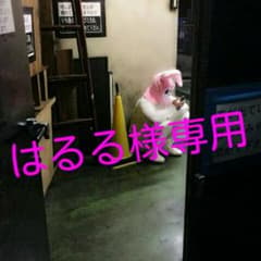 はるる様専用 R指定八十八箇所巡礼のサムネイル