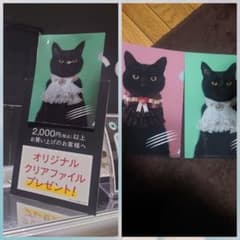 カカオキャット2枚クリアファイルのサムネイル