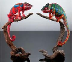 いきもの大図鑑プレミアム パンサーカメレオン 2色セット（グリーン　レッド） いきもの大図鑑プレミアム パンサーカメレオン（アンビローブ