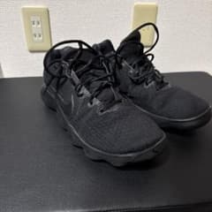 Nike ハイパーダンク2017 27.5cmのサムネイル