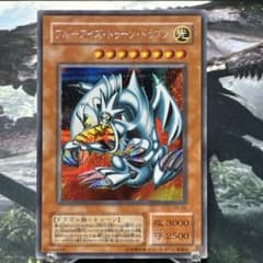 遊戯王 ブルーアイズトゥーンドラゴン シク シークレット PS-00 - メルカリ