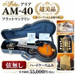 超美品 ARIA AM-40 フラットマンドリン ハードケース付 弦なし - メルカリ