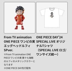 ONEPIECEDAY2024 원피의 열매, T셔츠 2개 세트