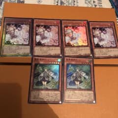 うらら　ウィンのサムネイル