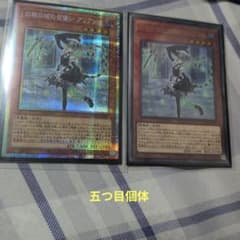 白銀の城の召使いアリアンナ - メルカリ