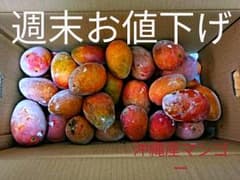 沖縄県産・冷凍マンゴー10kg【送込・お徳用】のサムネイル