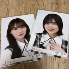 櫻坂46 守屋麗奈 生写真 15th lonesome rabbit 封入 ヨリ - メルカリ