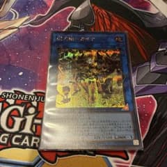 遊戯王 閃刀姫－カイナ シークレットのサムネイル