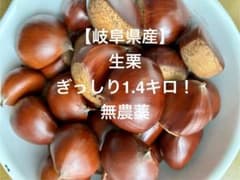 ④【岐阜県産】無農薬　生栗 たっぷり1.4キロ！のサムネイル