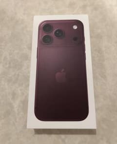 Apple iPhone 18 Pro 본체 버건디